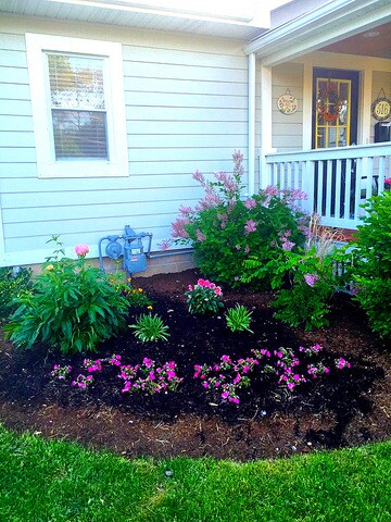 316 N Prospect St, Wheaton, IL 60187 - photo 5