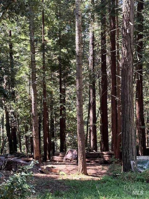 22051 Rust Dr, Timber Cove, CA 95450 - photo 4