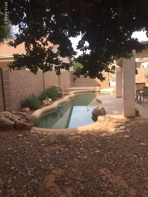 Shady Backyard with Sparkling Pool