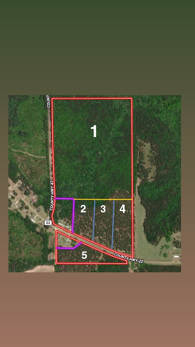 0 County Road 1156, Troy, AL 36079 - photo 5