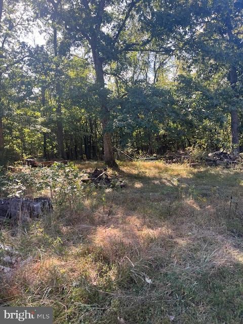 28 Peach Tree Ln, Hedgesville, WV 25427 - photo 4