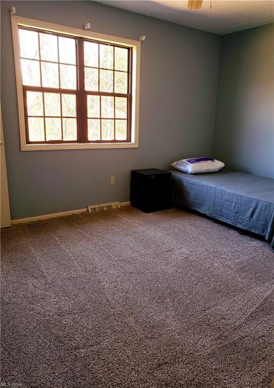 416 Cove Beach Ave, Sheffield Lake, OH 44054 - photo 6