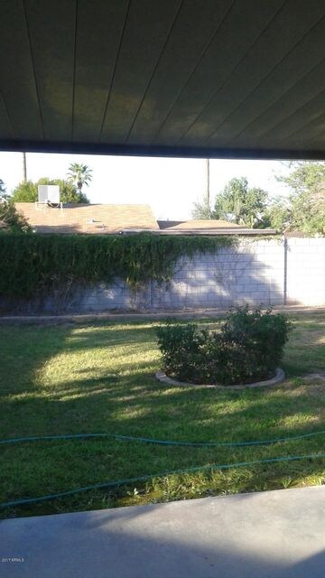 back yard 3b