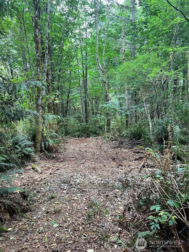 1 XX Scenic Dr NE, Poulsbo, WA 98370 - photo 3