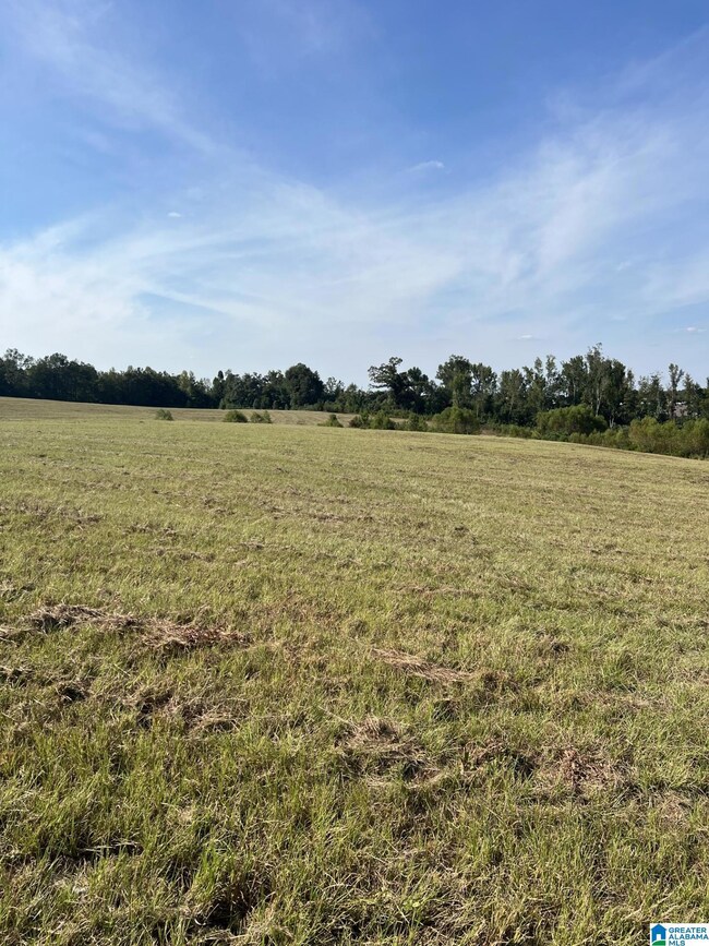 0 New Harmony Rd unit 1359959, Clanton, AL 35045 - photo 4