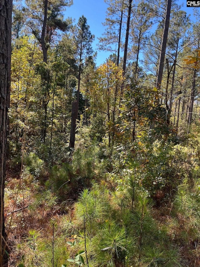 DRF 4 Dawkins Rd unit DRF 4, Pacolet, SC 29372 - photo 7