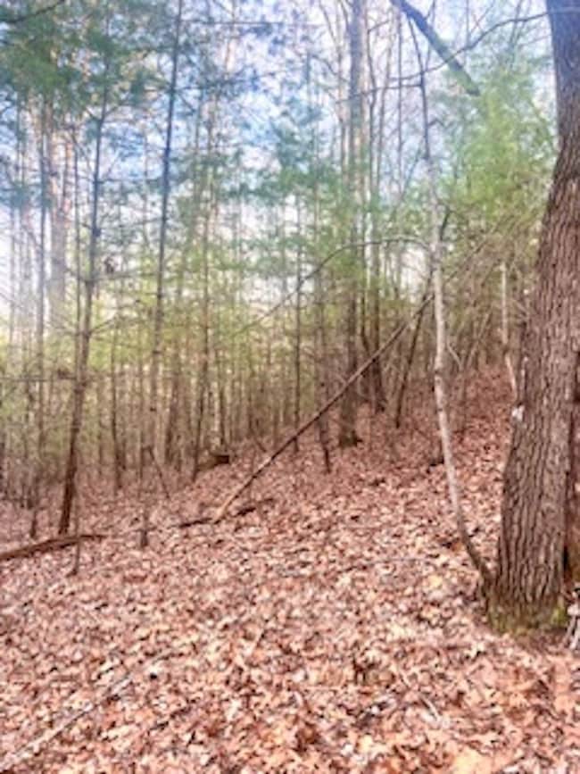 0 Maegans Dr unit LotWP001 23098892, Murphy, NC 28906 - photo 7