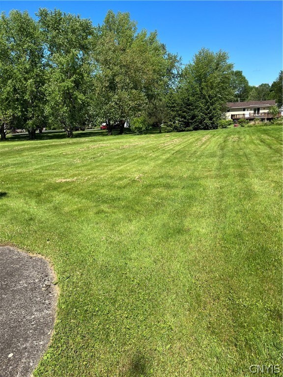 Great, open backyard
