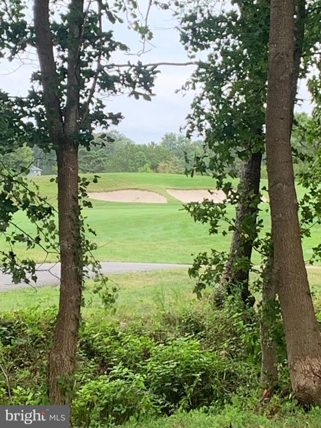 133 Willow Oak Ave, Ocean View, DE 19970 - photo 2