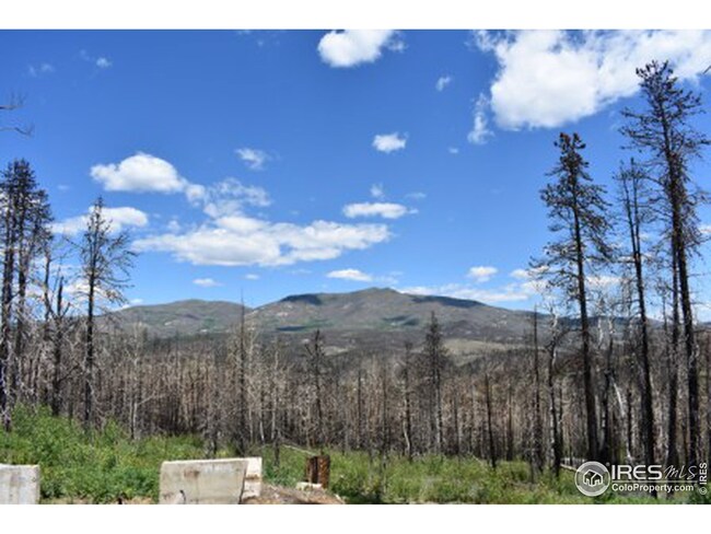 970 Deer Horn Trail, Bellvue, CO 80512 - photo 6