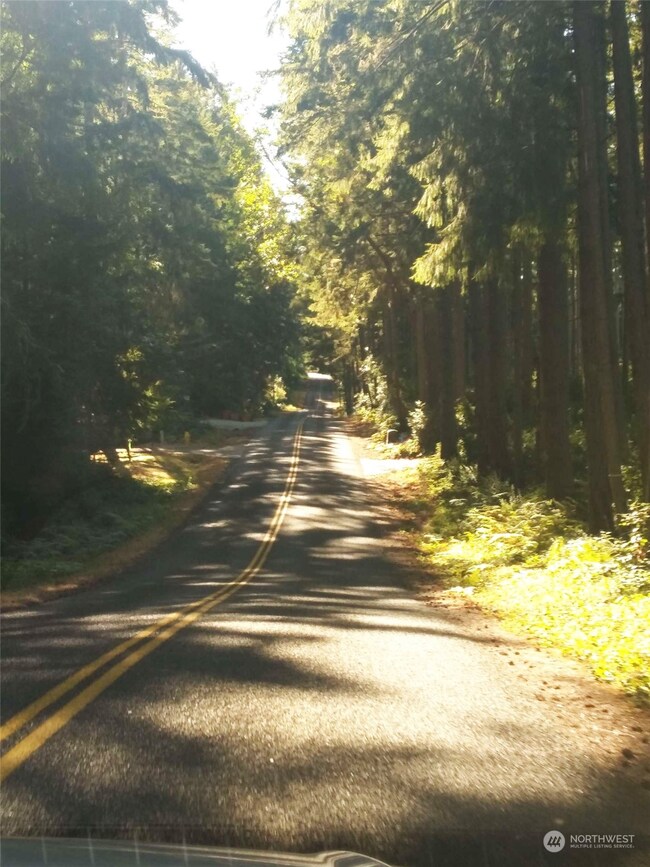 12618 Lovass Rd, Anderson Island, WA 98303 - photo 2