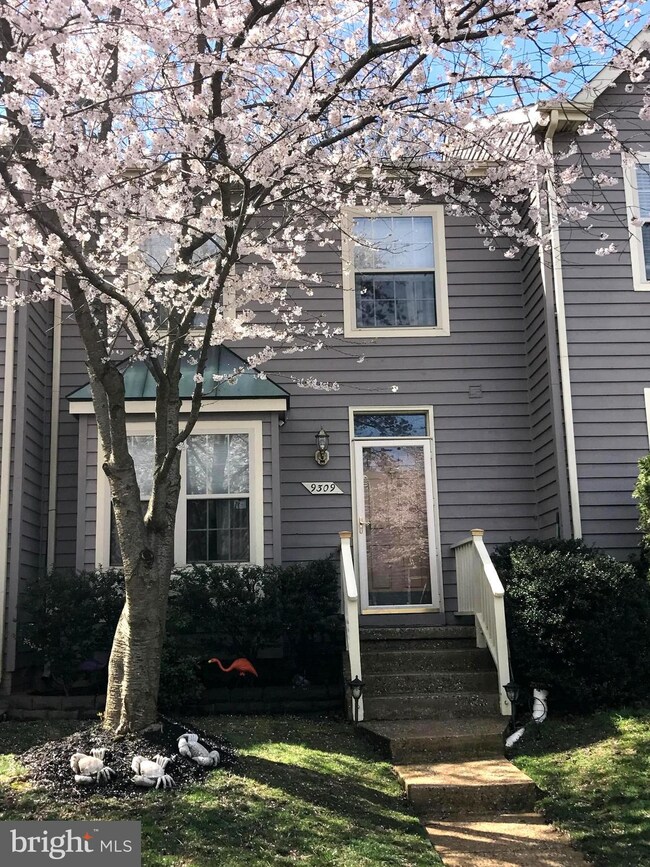 9309 Town Place Dr, Owings Mills, MD 21117 - photo 2