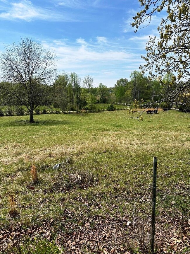 0 Marble Hill Rd, Poplar Bluff, MO 63901 - photo 4