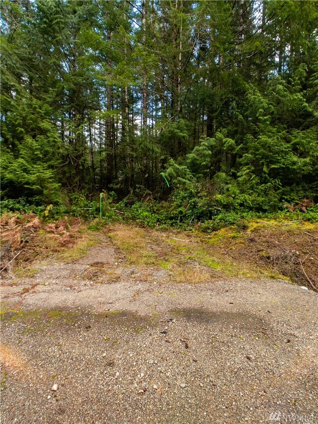 30 Mason Lake Rd, Grapeview, WA 98546 - photo 4