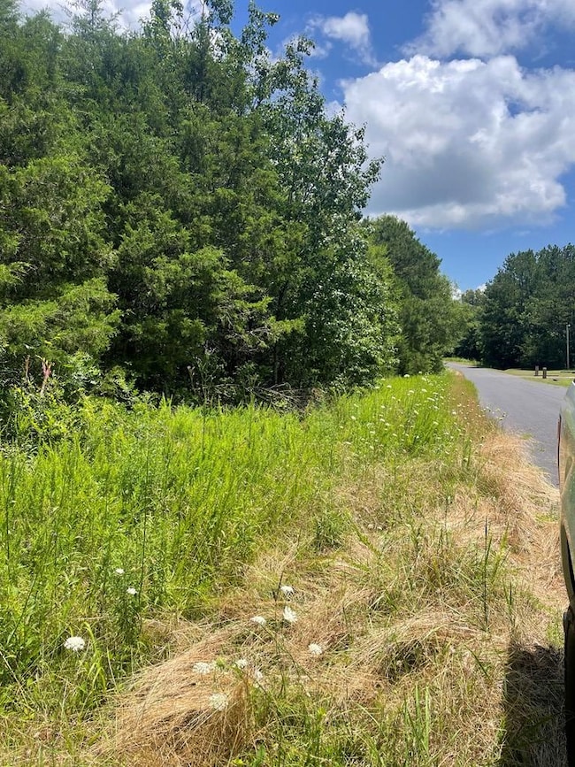 96 Deacon Rd, Calhoun Falls, SC 29628 - photo 4