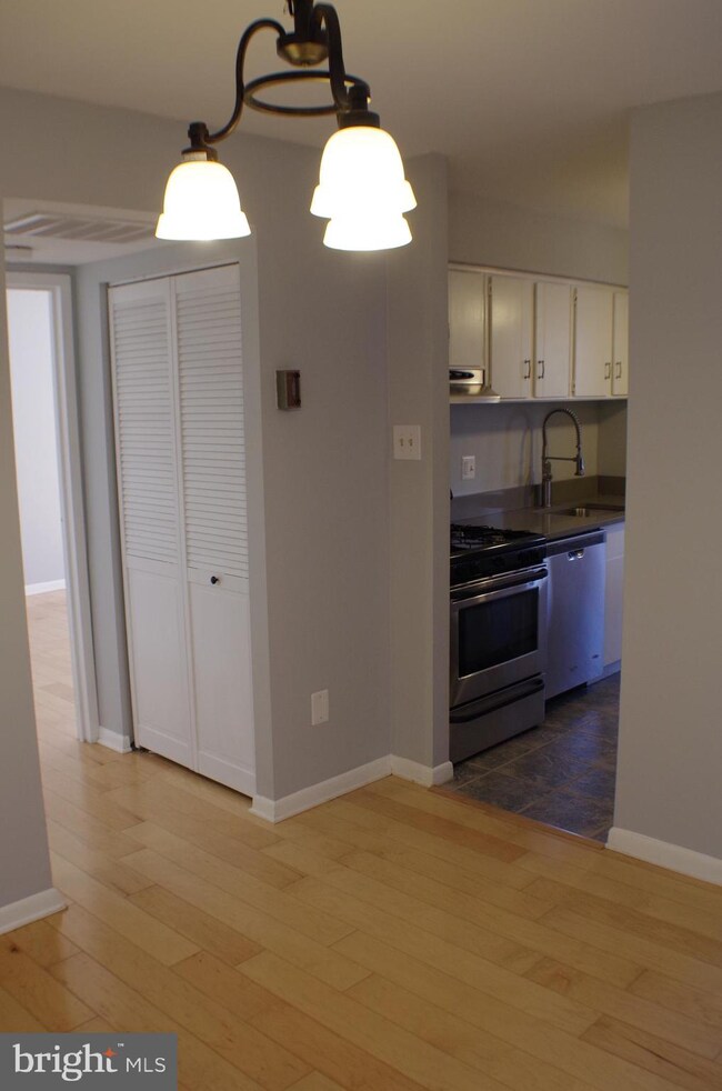 11208 Chestnut Grove Square unit 310, Reston, VA 20190 - photo 6