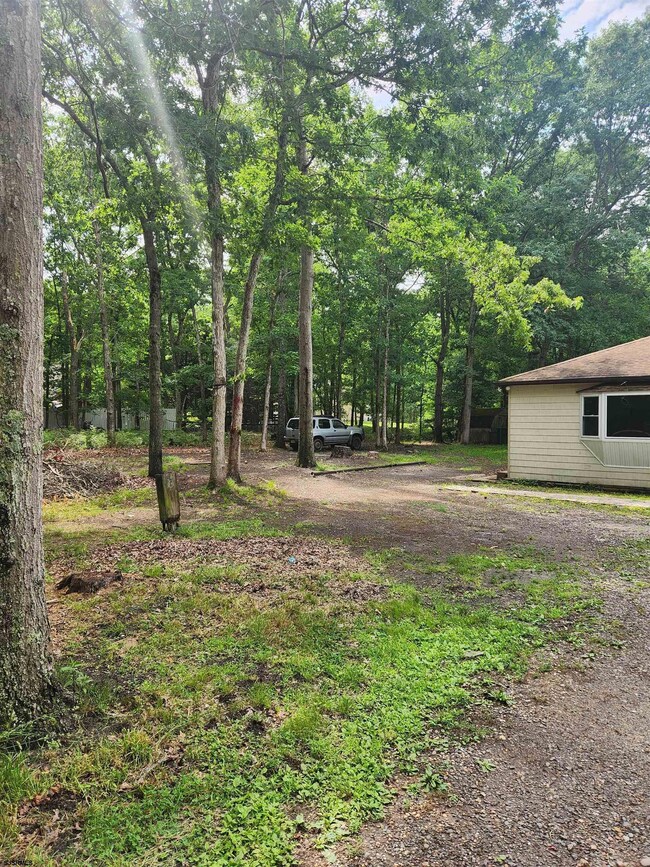 19 John St, Little Egg Harbor Township, NJ 08087 - photo 5