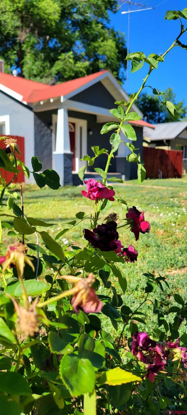 245 E Montezuma Ave, Cortez, CO 81321 - photo 4