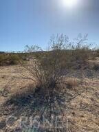 0 Werner Ave unit SR21099908, Rosamond, CA - photo 4