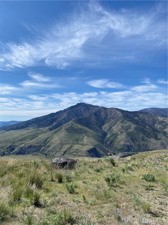 0 Lariat Lp unit 1594075, Methow, WA 98834 - photo 5