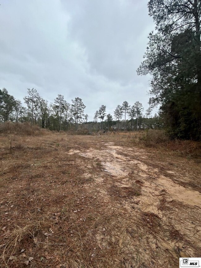0 Cadeville Cutoff Rd, West Monroe, LA 71292 - photo 3