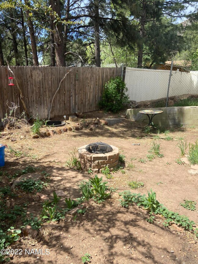 Back yard
