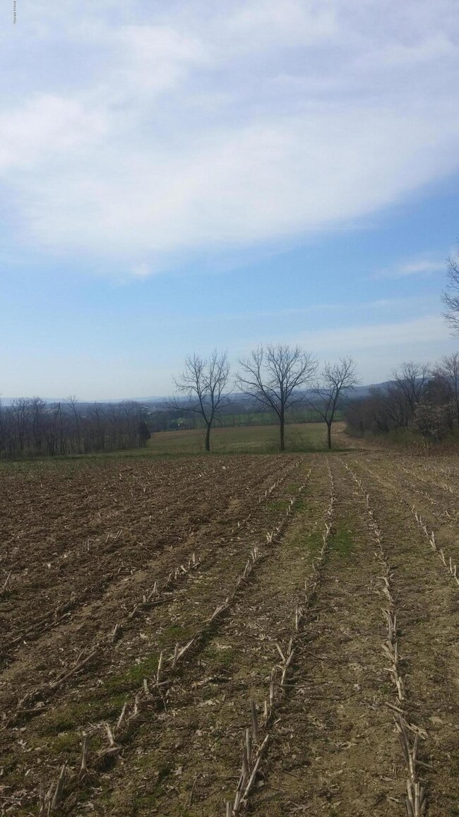 00 State Route 54 unit LOT 2, Watsontown, PA 17777 - photo 2