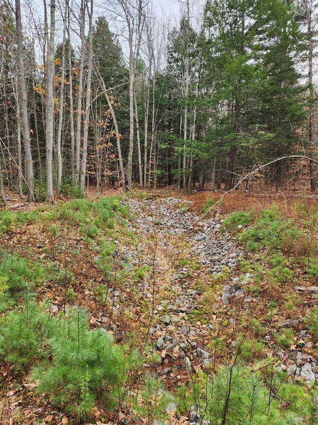 32 Bowen School Rd, Deering, NH 03244 - photo 7