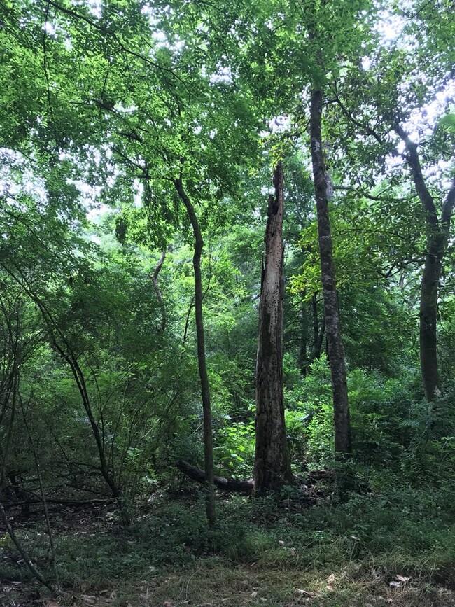 1106 Pike 93 N, McComb, MS 39648 - photo 2