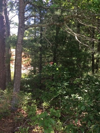 38 Five Lanterns, Plymouth, MA 02360 - photo 3