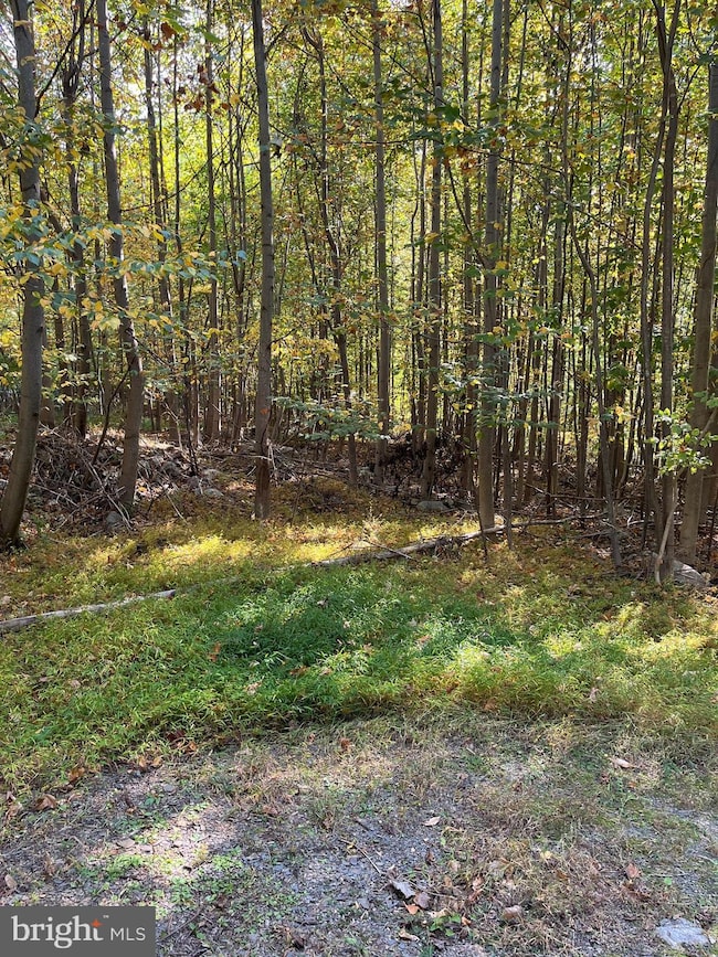 7893 Leaser Rd, Kempton, PA 19529 - photo 2