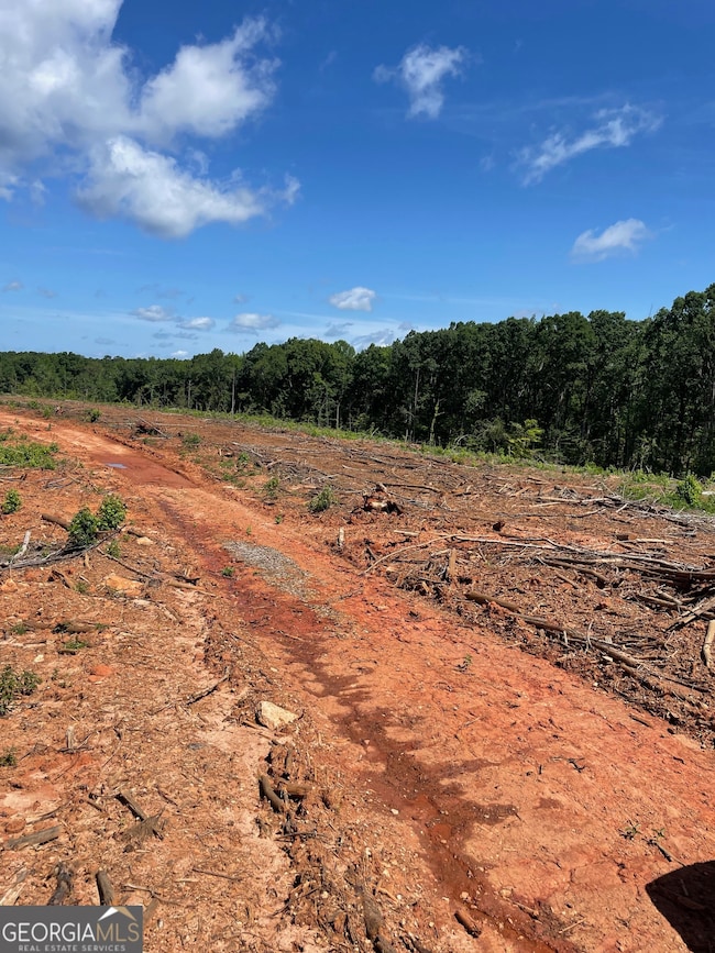 0 Allen Rd unit 10628619, Butler, GA 31006 - photo 4