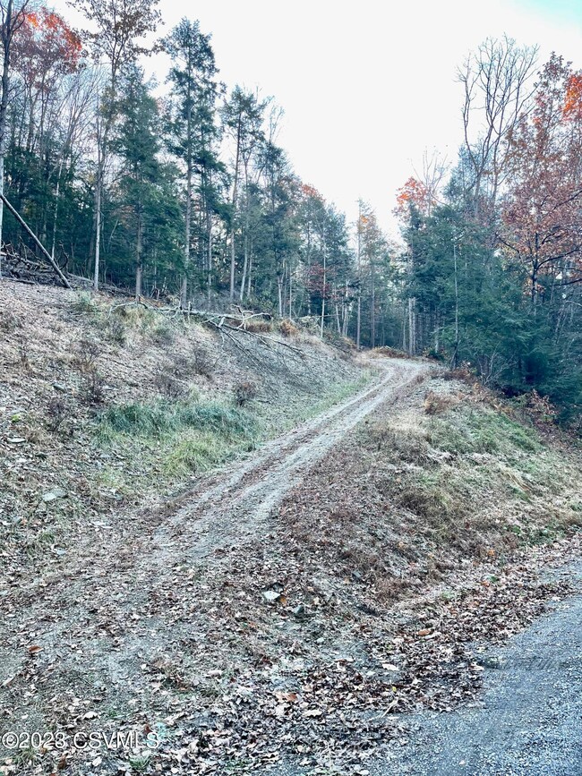 0 Shingle Run Rd, Pine Township, PA 17846 - photo 7