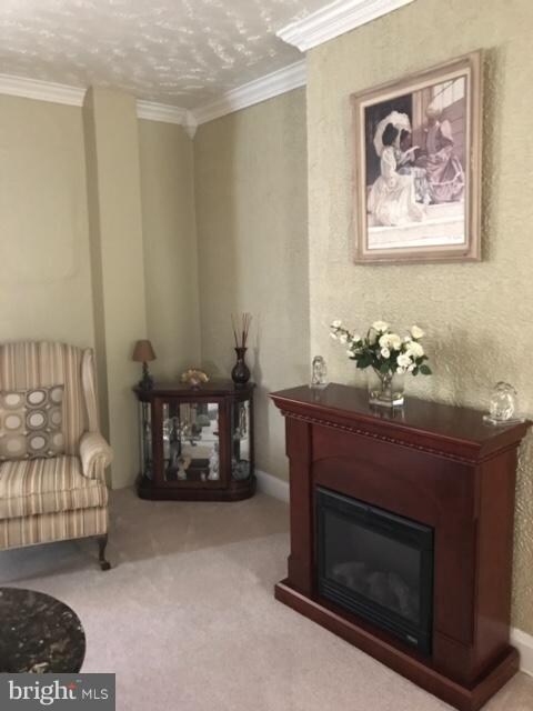 3539 W Caton Ave, Baltimore, MD 21229 - photo 6