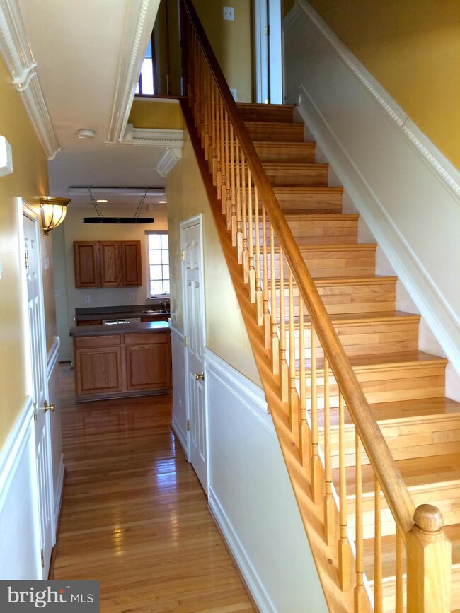 11203 Hollins Ct, Fredericksburg, VA 22407 - photo 4