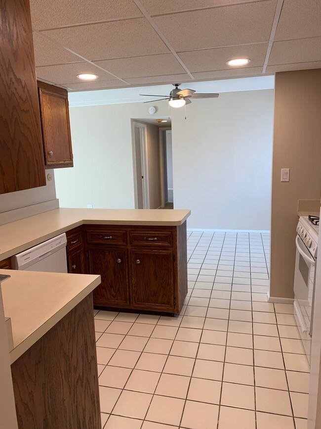 271 W 1st St unit 2A, Elmhurst, IL 60126 - photo 5