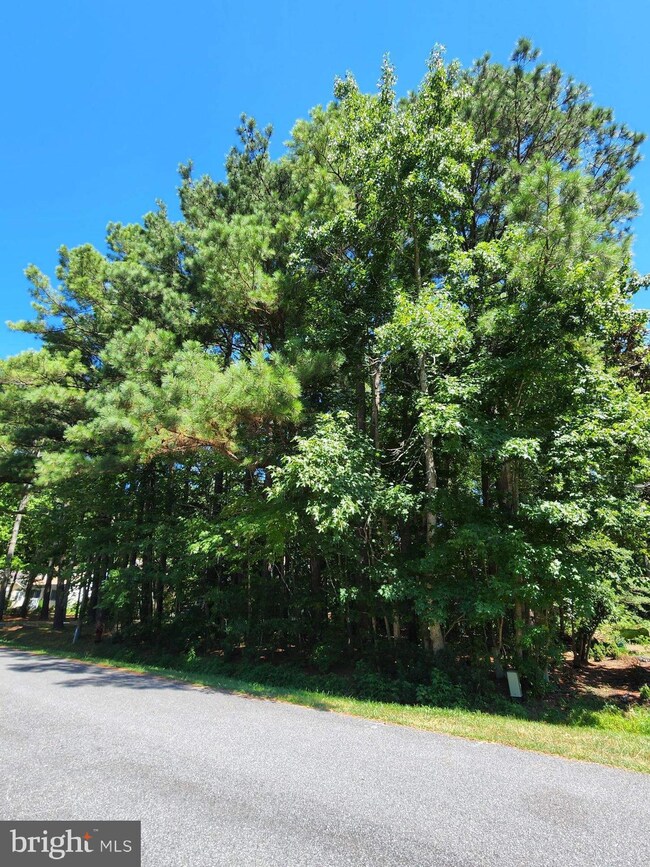 21 Breezeway Ln, Ocean Pines, MD 21811 - photo 3