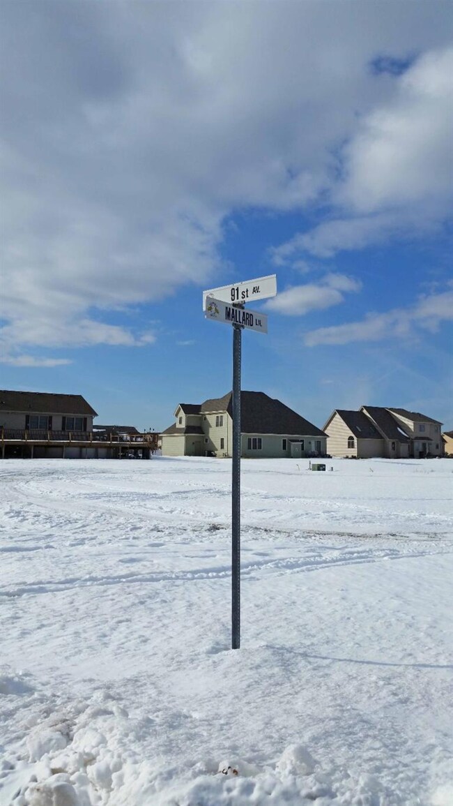 9122 Mallard Ln, Saint John, IN 46373 - photo 4