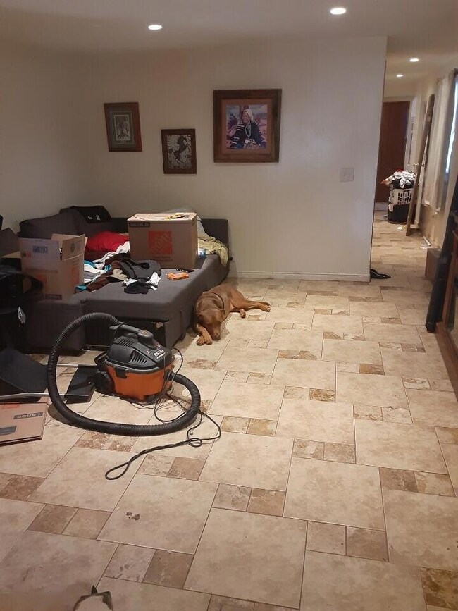 imagejpeg_0 2