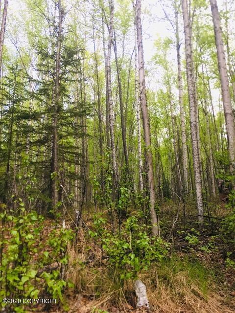 Trees