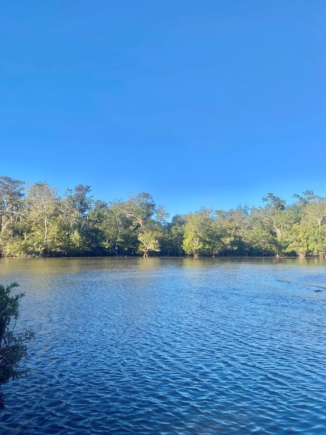 653 Bryant Landing Rd, Wewahitchka, FL 32465 - photo 3