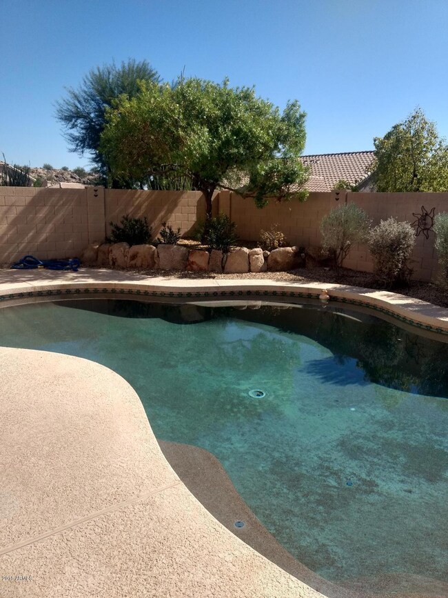pooll