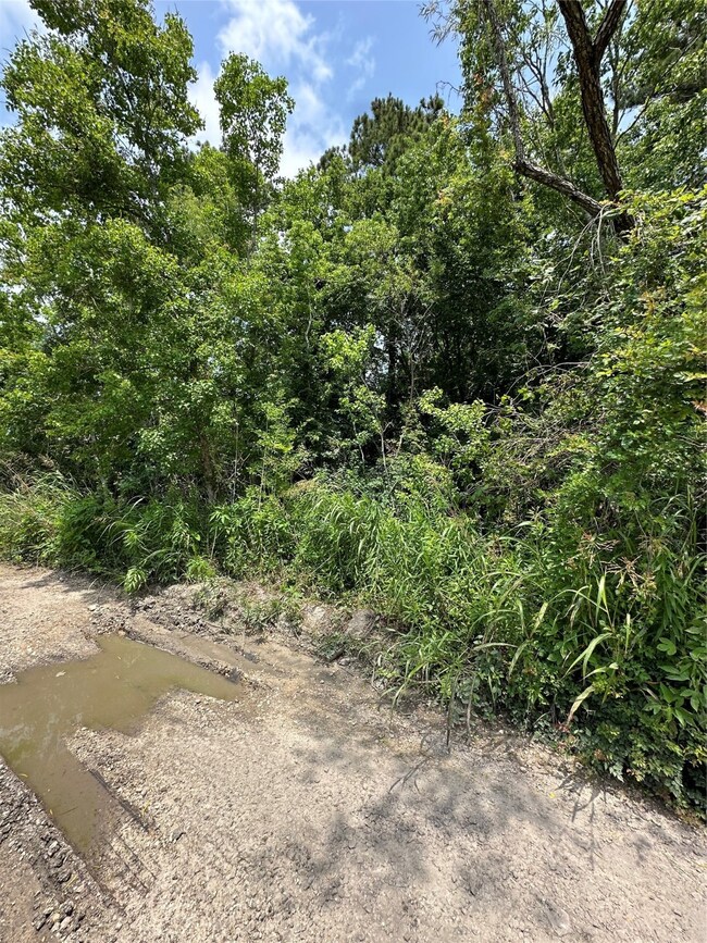 1 acre Wooded