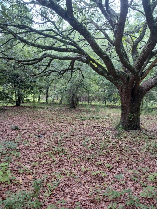 1638 Old Whitesville Rd, Moncks Corner, SC 29461 - photo 6