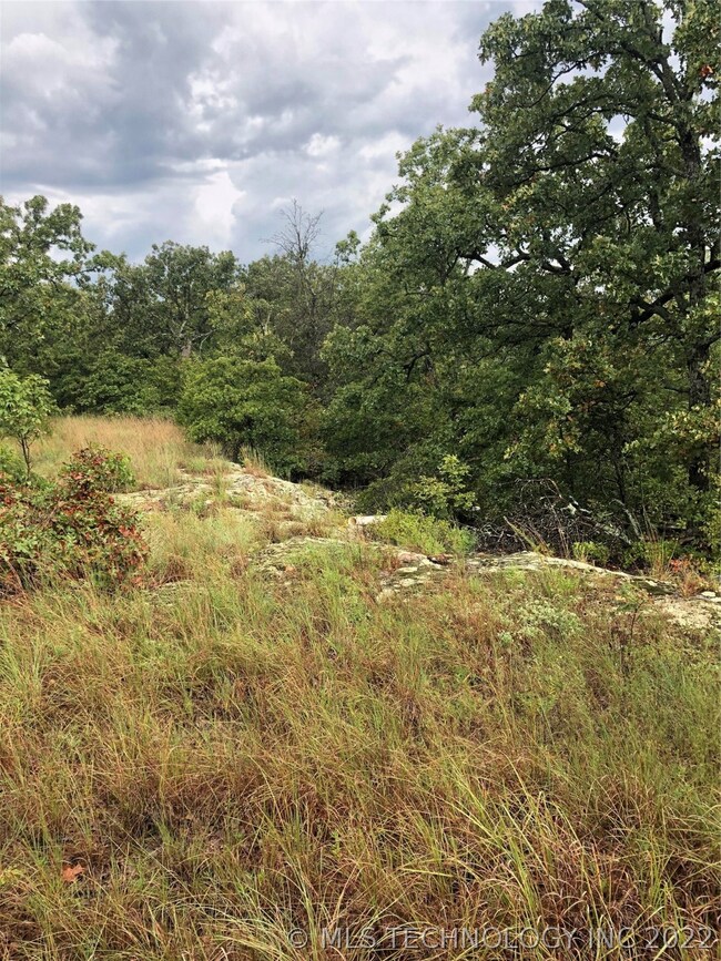 0 Westfall Rd unit 2104846, Skiatook, OK 74070 - photo 3