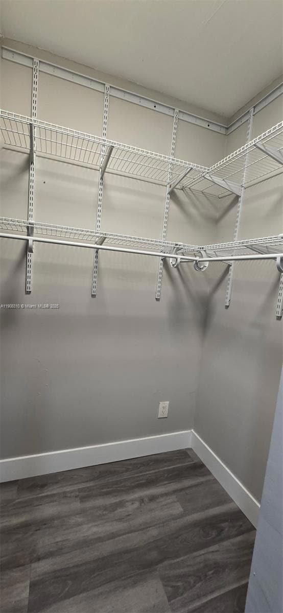 2533 Garfield St unit C, Hollywood, FL 33020 - photo 4