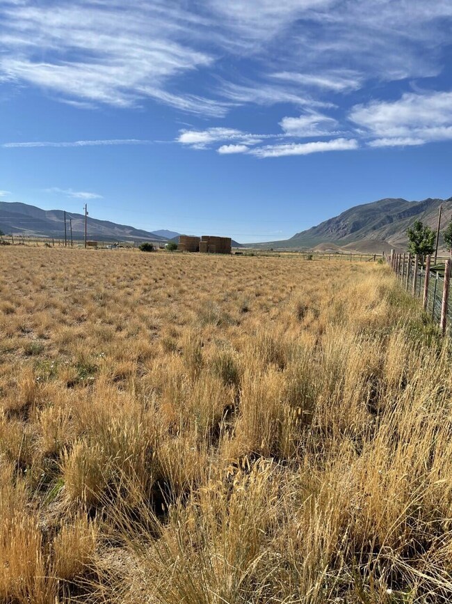 Scipio Lot 1 3