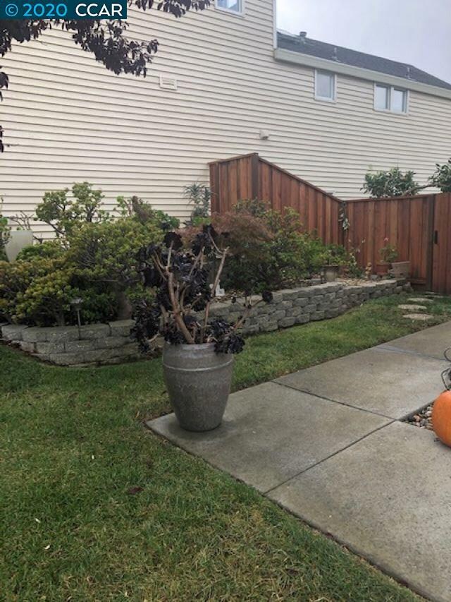 Lovely succulents grace side yard.