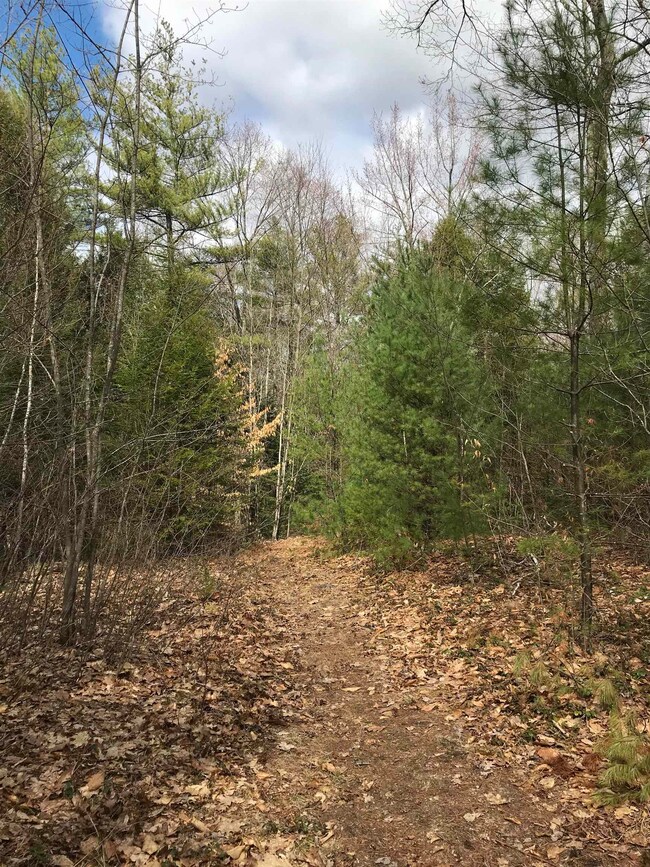 0 Forest Lake Rd unit 4897805, Winchester, NH 03470 - photo 4