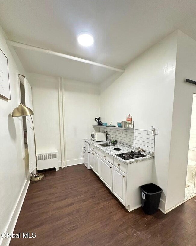 51 Elm St unit 1, Albany, NY 12202 - photo 6